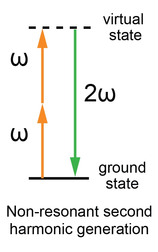 Second Harmonic Scattering | ORYL Photonics